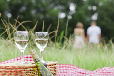 Gläser Wein beim Picknick - CUF00872