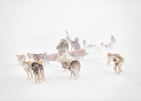 Grönland, Skitourengeher und Huskys - ALRF01208