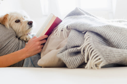 Frau lesend im Bett mit Hund - CUF01103