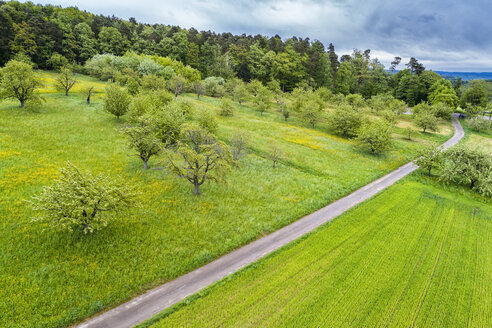 Deutschland, Baden-Württemberg, Schwäbisch-Fränkischer Wald, Rems-Murr-Kreis, Luftbild einer Streuobstwiese mit Straße - STSF01531