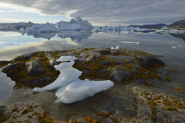 Grönland, Ostgrönland, Blick von Sarpaq über die Eisberge des Sermilik-Fjords - ESF01648