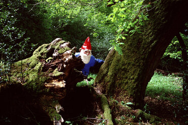 Garden gnome hiding behind tree - ISF00127