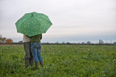 Ehepaar unter Regenschirm im Feld - CUF01132