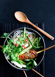 Bowl of Vietnamese noodle soup - CUF01452