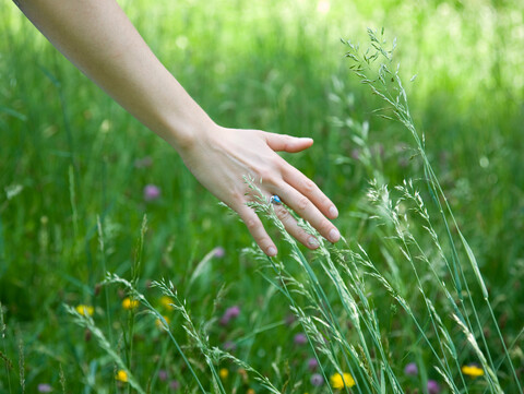 Frau läuft mit der Hand durch Gras, lizenzfreies Stockfoto