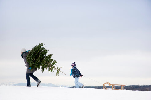 Mother and son carrying christmas tree - CUF01575