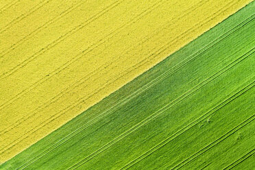 Deutschland, Baden-Württemberg, Rems-Murr-Kreis, Luftaufnahme von Feldern im Frühling - STSF01534