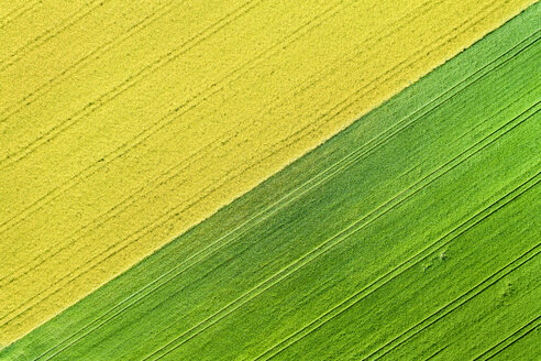 Germany, Baden-Wuerttemberg, Rems-Murr-Kreis, Aerial view of fields in spring - STSF01534