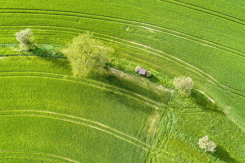 Deutschland, Baden-Württemberg, Rems-Murr-Kreis, Luftaufnahme einer grünen Wiese im Frühling, lizenzfreies Stockfoto