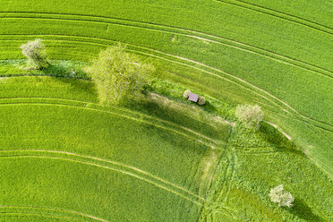 Deutschland, Baden-Württemberg, Rems-Murr-Kreis, Luftaufnahme einer grünen Wiese im Frühling - STSF01536