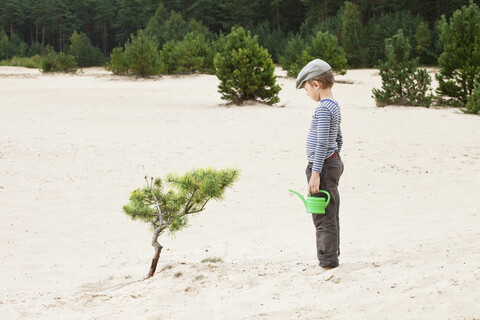 Junge mit Gießkanne, der eine Pflanze im Sand betrachtet, lizenzfreies Stockfoto