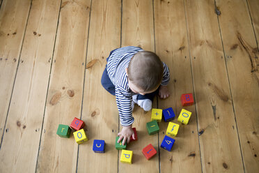 Baby boy playing with building blocks - ISF00421