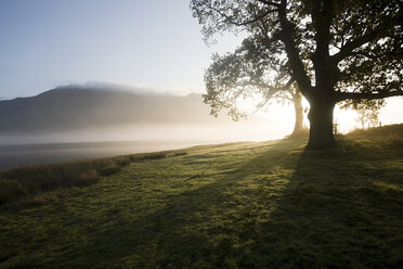 Bassenthwaite-See, Lake District, Cumbria, England - ISF00598