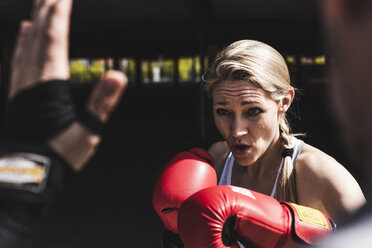 Man and woman in boxing training - UUF13627