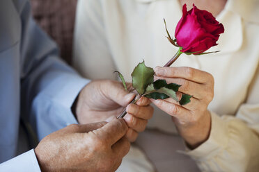 Älterer Mann gibt Rose an Seniorin - ISF00689