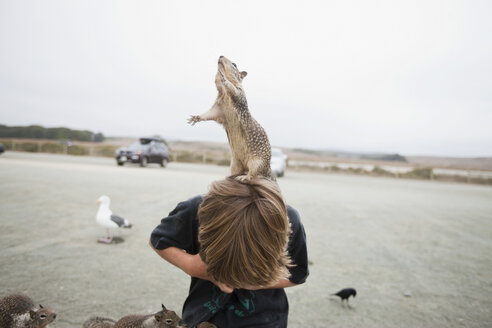 Eichhörnchen auf dem Kopf eines Jungen stehend - ISF00740
