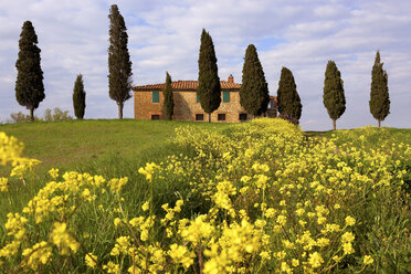 Orcia-Tal im Frühling - ISF00877