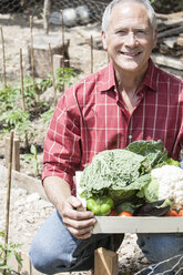 Mann mit Kiste mit selbst angebautem Gemüse - CUF01874