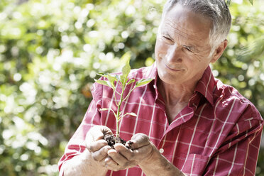 Man planting seedling - CUF01877