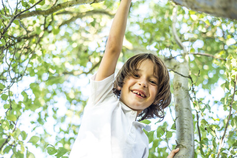 Junge klettert auf einen Baum, lizenzfreies Stockfoto