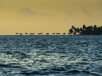 Malediven, Ross Atoll, Strand mit Sonnenschirmen bei Sonnenuntergang - AMF05717