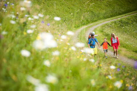 Familienwanderung in ländlicher Landschaft, lizenzfreies Stockfoto