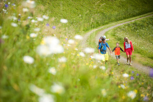 Familienwanderung in ländlicher Landschaft - HHF05540