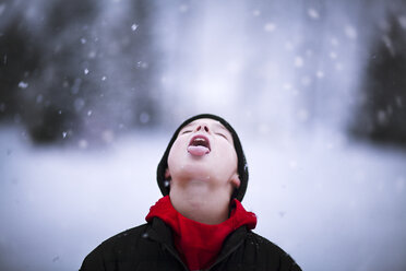 Porträt eines Jungen, der fallenden Schnee auf der Zunge auffängt - CUF02084