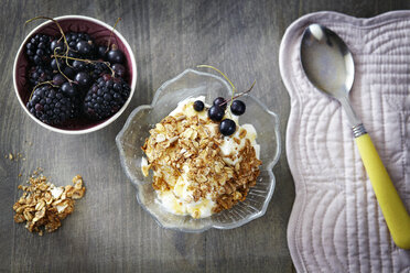 Griechischer Joghurt mit Honig und Müsli und Schale mit Beeren, Blick von oben - CUF02266