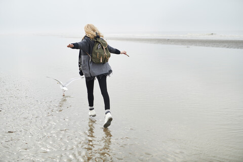 Netherlands, back view of young woman with backpack walking behind a seagull on the beach stock photo