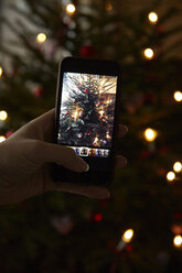 Hand, die ein Mobiltelefon hält und einen Weihnachtsbaum fotografiert - CUF02533