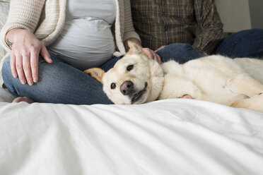 Schwangere Frau mit Partner auf dem Bett sitzend, Hund neben ihnen auf dem Bett liegend, Tiefschnitt - CUF02548