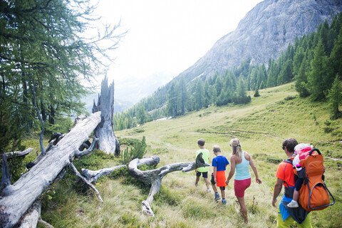 Family hiking in alpine meadow stock photo