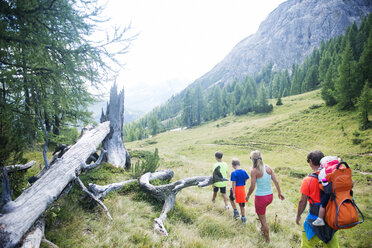 Familienwanderung auf der Alm - HHF05560