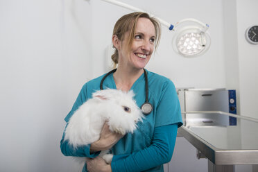 Vets carrying angora rabbit - CUF02877