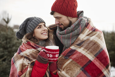 Romantic young couple wrapped in blanket while shopping for christmas tree from forest - CUF02921