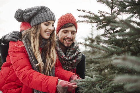Junges Paar betrachtet Tannennadeln beim Einkaufen eines Weihnachtsbaums im Wald - CUF02922