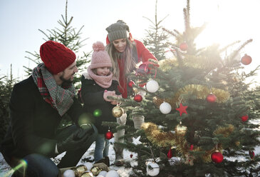 Mädchen und Eltern betrachten Christbaumkugeln an einem Waldweihnachtsbaum - CUF02926