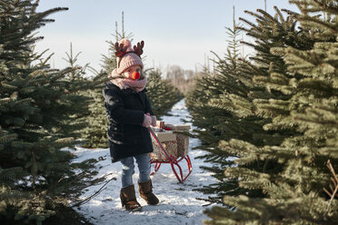 Mädchen im Weihnachtsbaumwald, das Geschenke auf einem Schlitten zieht, Porträt - CUF02930