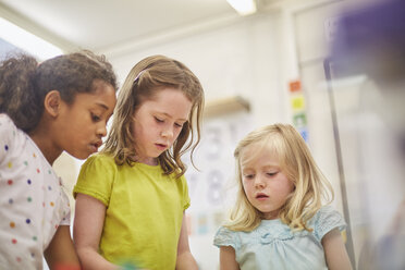 Grundschülerinnen schauen im Klassenzimmer nach unten - CUF03050