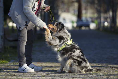Mann hält die Pfote eines Hundes im Park, Ausschnitt - CUF03117