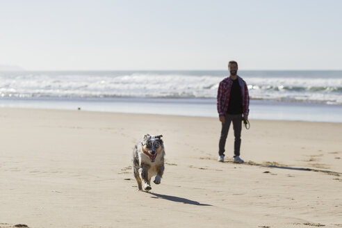 Mann beobachtet seinen Hund beim Laufen am Strand - CUF03163