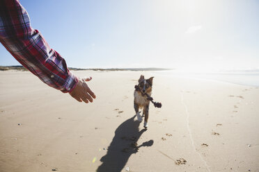 Mann und Hund spielen mit Seil am Strand, Ausschnitt - CUF03165