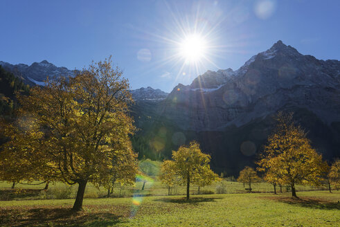 Österreich, Tirol, Eng, Karwendelgebirge, Rißtal, Großer Ahornboden - LHF00565