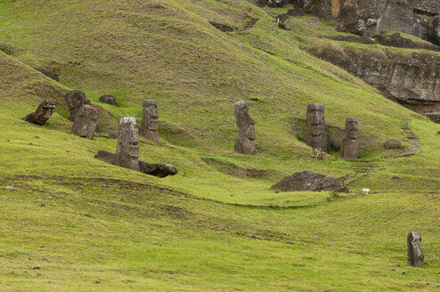 Gruppe von Rano Raraku Moai-Statuen auf der Osterinsel - CUF03374