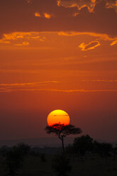 Serengeti National Park, Tanzania - CUF03376