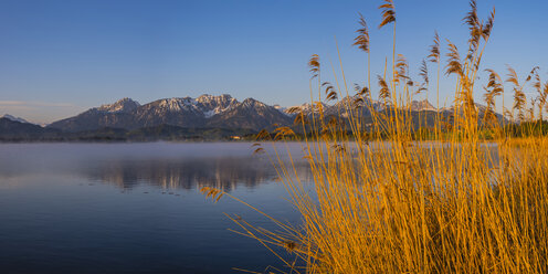 Deutschland, Bayern, Schwaben, Allgäu, Ostallgäu, Hopfensee - WGF01182