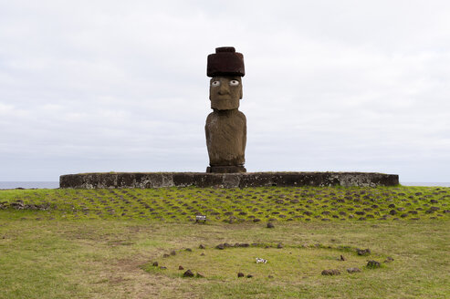 Moai-Statue Ahu Ko Te Riku an der Küste der Osterinsel - CUF03571