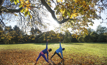 Zwei Frauen machen Yoga im Park an einem Herbsttag - CUF03609