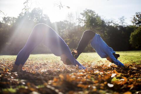 Zwei Frauen machen Yoga im Park an einem Herbsttag, lizenzfreies Stockfoto